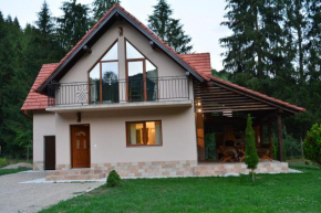 Finiș